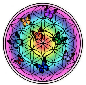 Fleur de vie