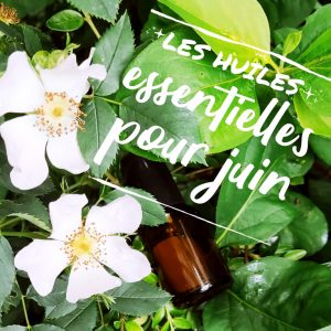 huiles essentielles pour le mois de juin 2021
