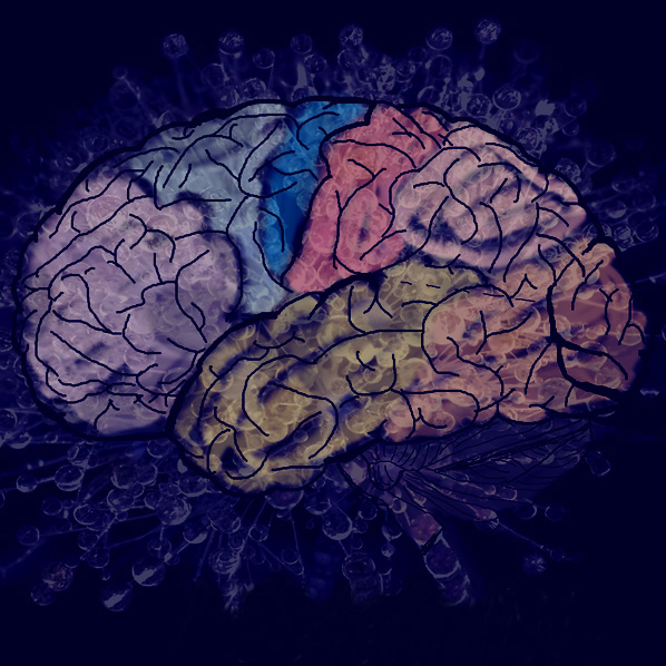 Méditation : neurosciences, huiles essentielles